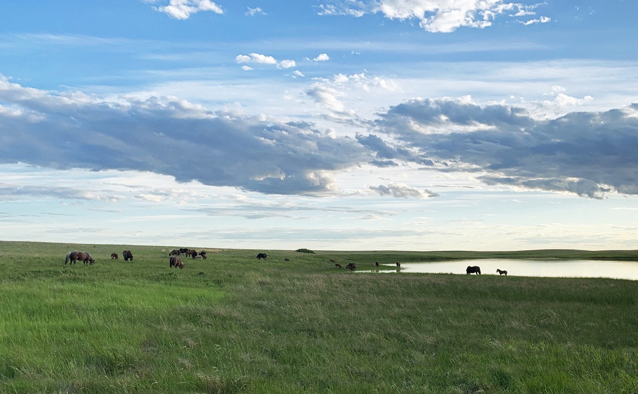 Things to do in Missouri River Country